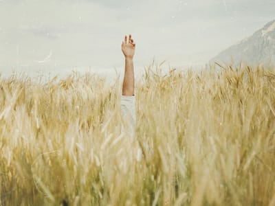 Историята на един млад и успял мъж, живеещ във вътрешна реалност на тревога и неуспех