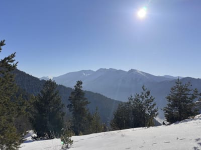 Защо ATV туровете в Рила планина са толкова популярни