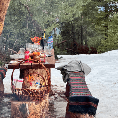table with food in the nature