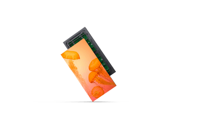 model p2.5