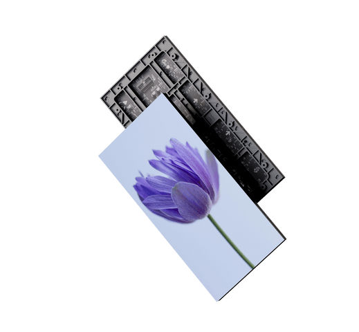 model p1.2