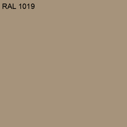 RAL-1019