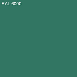 RAL-6000