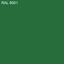 RAL-6001