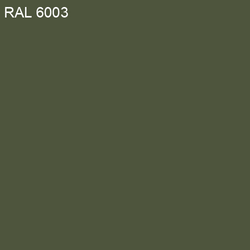 RAL-6003