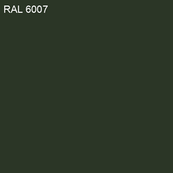 RAL-6007