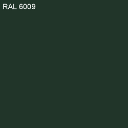 RAL-6009