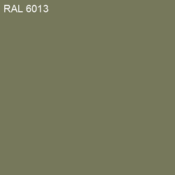 RAL-6013