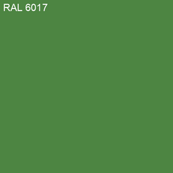 RAL-6017