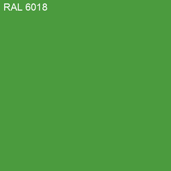 RAL-6018