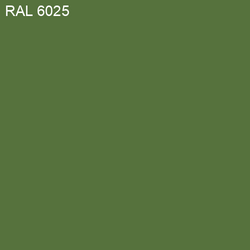 RAL-6025