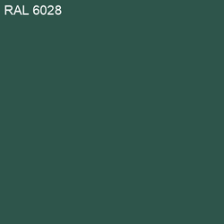 RAL-6028