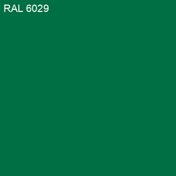 RAL-6029