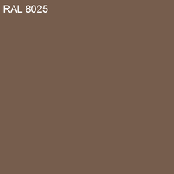 RAL-8025