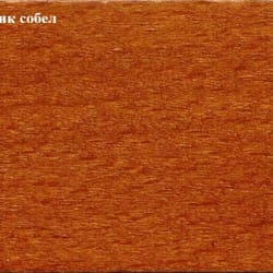 Байц 1010 Тик собел