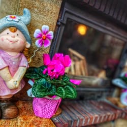 Вълшебно място - специално поводи