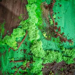 Вълшебно място - специално поводи