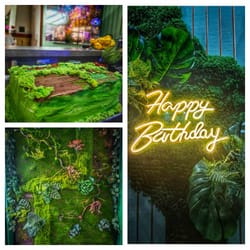 Вълшебно място - специално поводи