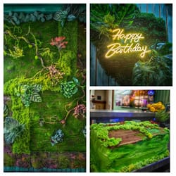 Вълшебно място - специално поводи