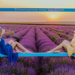 лавандулово поле