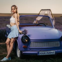 лавандулово поле