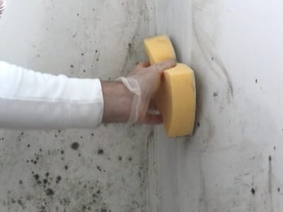 Как се боядисва върху мухъл?